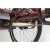 IncredEwheels Electric Trike