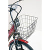 IncredEwheels Electric Trike