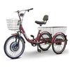 IncredEwheels Electric Trike