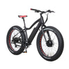 IncredEbike &#39;Fat-AWD&#39; (Sold Out)
