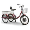 IncredEwheels Electric Trike