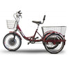IncredEwheels Electric Trike