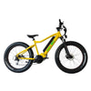 IncredEbike &#39;Bumblebee&#39; (SOLD OUT)