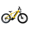 IncredEbike &#39;Bumblebee&#39; (SOLD OUT)