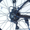 IncredEbike Ewheels Electric Mountain Bike