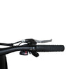 IncredEbike Thunder